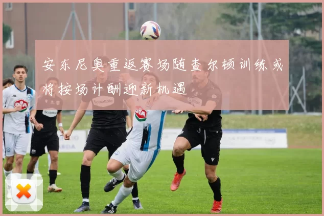安东尼奥重返赛场随查尔顿训练或将按场计酬迎新机遇